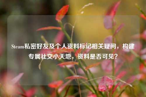 Steam私密好友及个人资料标记相关疑问，构建专属社交小天地，资料是否可见？