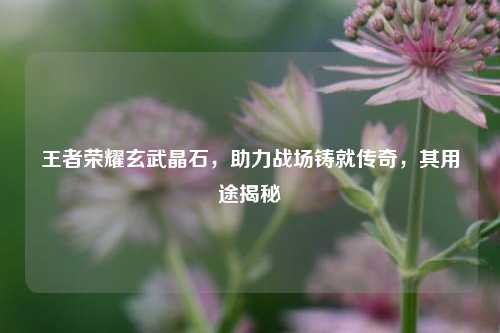 王者荣耀玄武晶石，助力战场铸就传奇，其用途揭秘