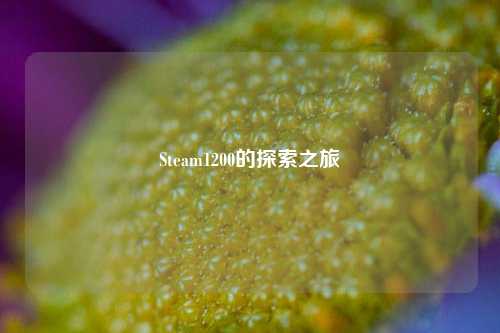 Steam1200的探索之旅