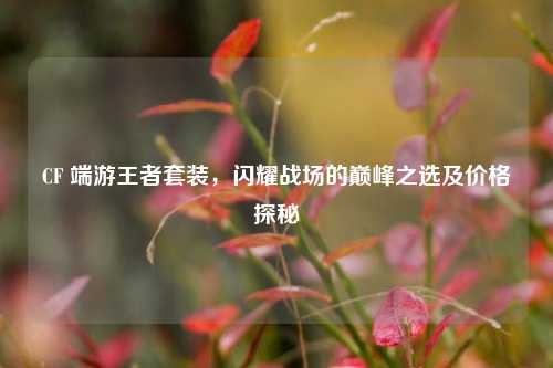CF 端游王者套装，闪耀战场的巅峰之选及价格探秘