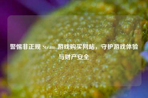 警惕非正规 Steam 游戏购买网站，守护游戏体验与财产安全
