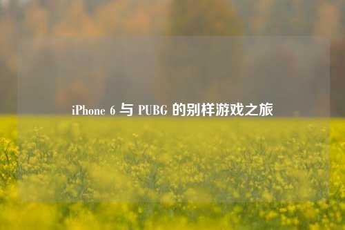 iPhone 6 与 PUBG 的别样游戏之旅