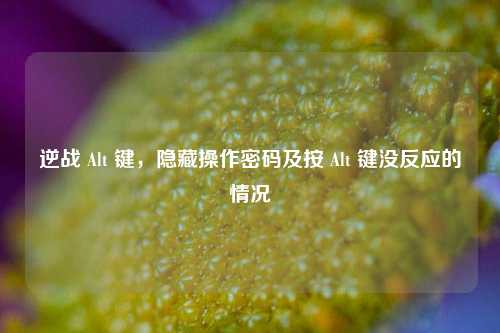逆战 Alt 键，隐藏操作密码及按 Alt 键没反应的情况