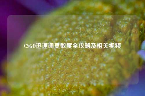 CSGO迅速调灵敏度全攻略及相关视频