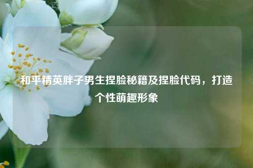 和平精英胖子男生捏脸秘籍及捏脸代码，打造个性萌趣形象