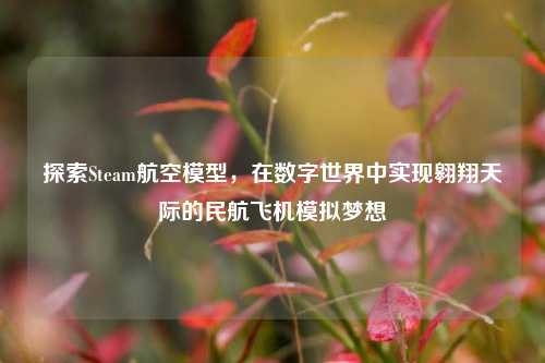探索Steam航空模型,在数字世界中实现翱翔天际的民航飞机模拟梦想