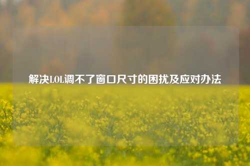 解决LOL调不了窗口尺寸的困扰及应对办法