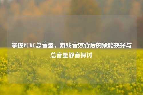 掌控PUBG总音量,游戏音效背后的策略抉择与总音量静音探讨