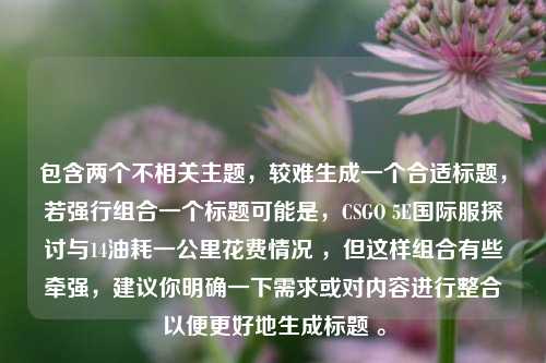 包含两个不相关主题，较难生成一个合适标题，若强行组合一个标题可能是，CSGO 5E国际服探讨与14油耗一公里花费情况 ，但这样组合有些牵强，建议你明确一下需求或对内容进行整合以便更好地生成标题 。