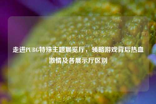 走进PUBG特殊主题展览厅,领略游戏背后热血激情及各展示厅区别