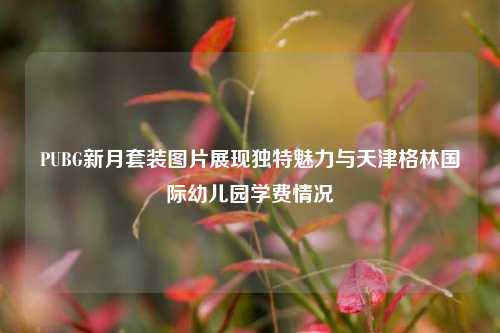PUBG新月套装图片展现独特魅力与天津格林国际幼儿园学费情况