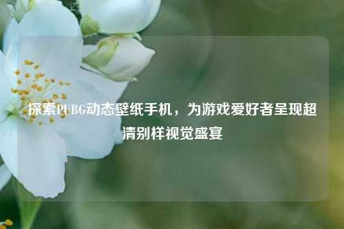 探索PUBG动态壁纸手机,为游戏爱好者呈现超清别样视觉盛宴