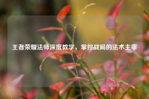 王者荣耀法师深度教学,掌控战局的法术主宰