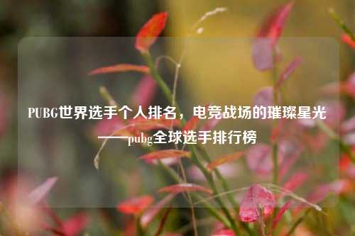 PUBG世界选手个人排名，电竞战场的璀璨星光——pubg全球选手排行榜