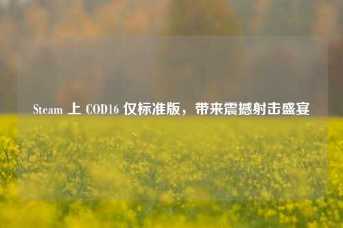 Steam 上 COD16 仅标准版，带来震撼射击盛宴