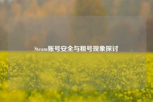 Steam账号安全与租号现象探讨