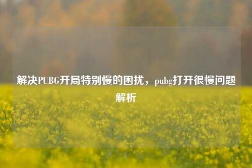 解决PUBG开局特别慢的困扰,pubg打开很慢问题解析