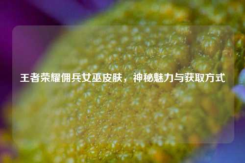 王者荣耀佣兵女巫皮肤，神秘魅力与获取方式