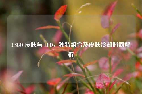 CSGO 皮肤与 LED,独特组合及皮肤冷却时间解析