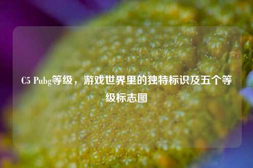 C5 Pubg等级,游戏世界里的独特标识及五个等级标志图