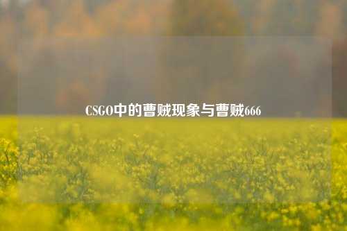 CSGO中的曹贼现象与曹贼666