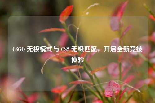 CSGO 无极模式与 CS2 无级匹配,开启全新竞技体验