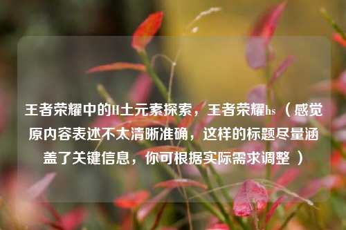 王者荣耀中的H土元素探索,王者荣耀hs (感觉原内容表述不太清晰准确,这样的标题尽量涵盖了关键信息,你可根据实际需求调整 )