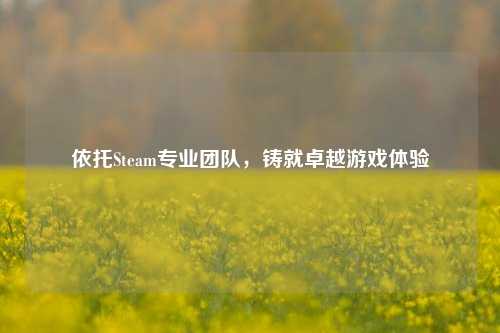 依托Steam专业团队，铸就卓越游戏体验