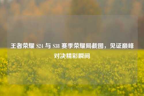 王者荣耀 S24 与 S38 赛季荣耀局截图,见证巅峰对决精彩瞬间
