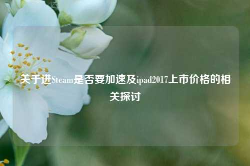 关于进Steam是否要加速及ipad2017上市价格的相关探讨