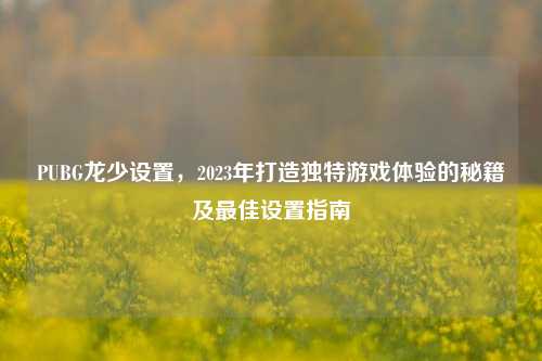 PUBG龙少设置，2023年打造独特游戏体验的秘籍及最佳设置指南