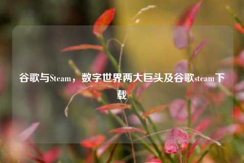 谷歌与Steam，数字世界两大巨头及谷歌steam下载