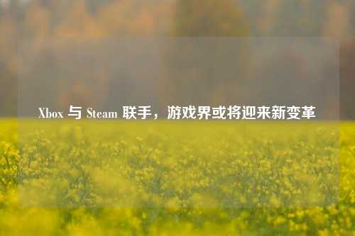 Xbox 与 Steam 联手，游戏界或将迎来新变革