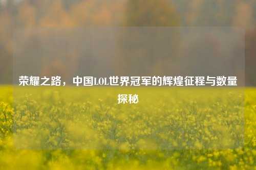 荣耀之路，中国LOL世界冠军的辉煌征程与数量探秘