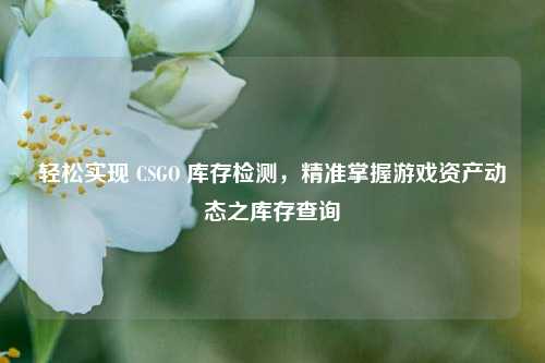 轻松实现 CSGO 库存检测，精准掌握游戏资产动态之库存查询