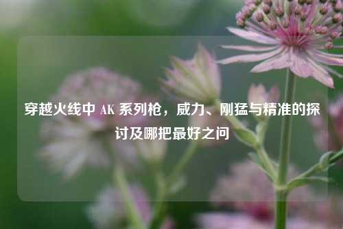 穿越火线中 AK 系列枪,威力、刚猛与精准的探讨及哪把最好之问