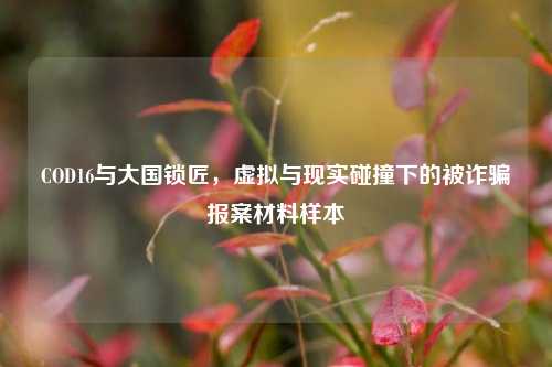 COD16与大国锁匠，虚拟与现实碰撞下的被诈骗报案材料样本