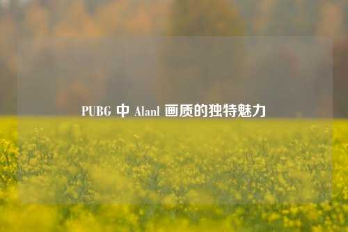 PUBG 中 Alanl 画质的独特魅力
