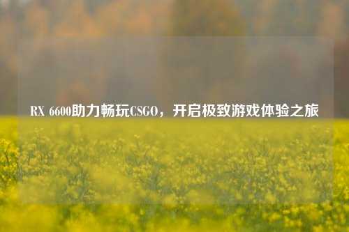 RX 6600助力畅玩CSGO，开启极致游戏体验之旅