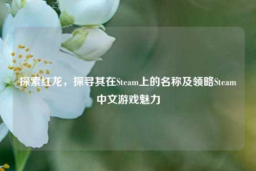 探索红龙，探寻其在Steam上的名称及领略Steam中文游戏魅力