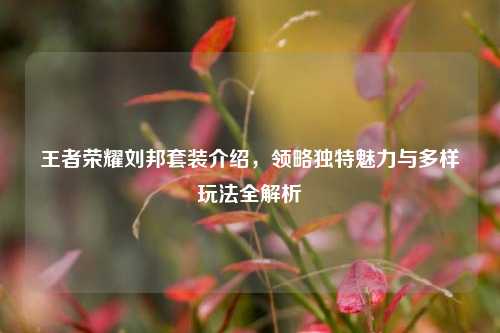 王者荣耀刘邦套装介绍，领略独特魅力与多样玩法全解析