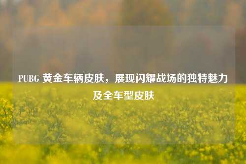 PUBG 黄金车辆皮肤，展现闪耀战场的独特魅力及全车型皮肤