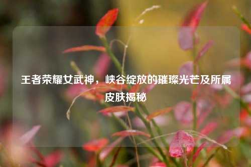 王者荣耀女武神，峡谷绽放的璀璨光芒及所属皮肤揭秘