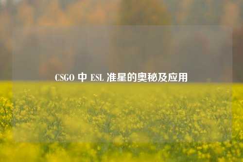 CSGO 中 ESL 准星的奥秘及应用