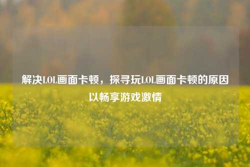 解决LOL画面卡顿,探寻玩LOL画面卡顿的原因以畅享游戏激情