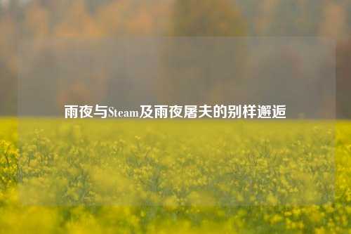 雨夜与Steam及雨夜屠夫的别样邂逅