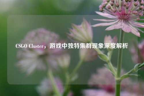 CSGO Cluster,游戏中独特集群现象深度解析