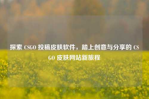 探索 CSGO 投稿皮肤软件,踏上创意与分享的 CSGO 皮肤网站新旅程