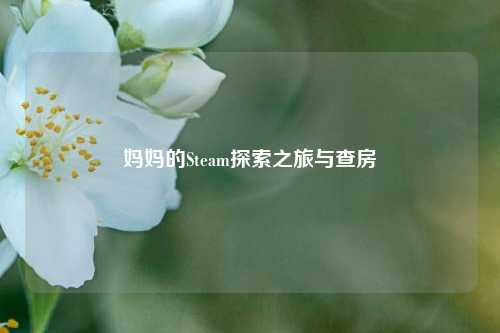 妈妈的Steam探索之旅与查房