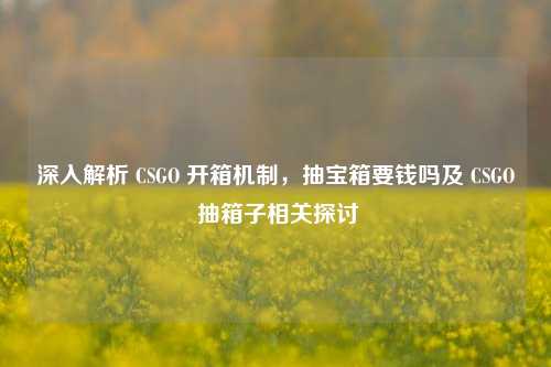 深入解析 CSGO 开箱机制,抽宝箱要钱吗及 CSGO 抽箱子相关探讨
